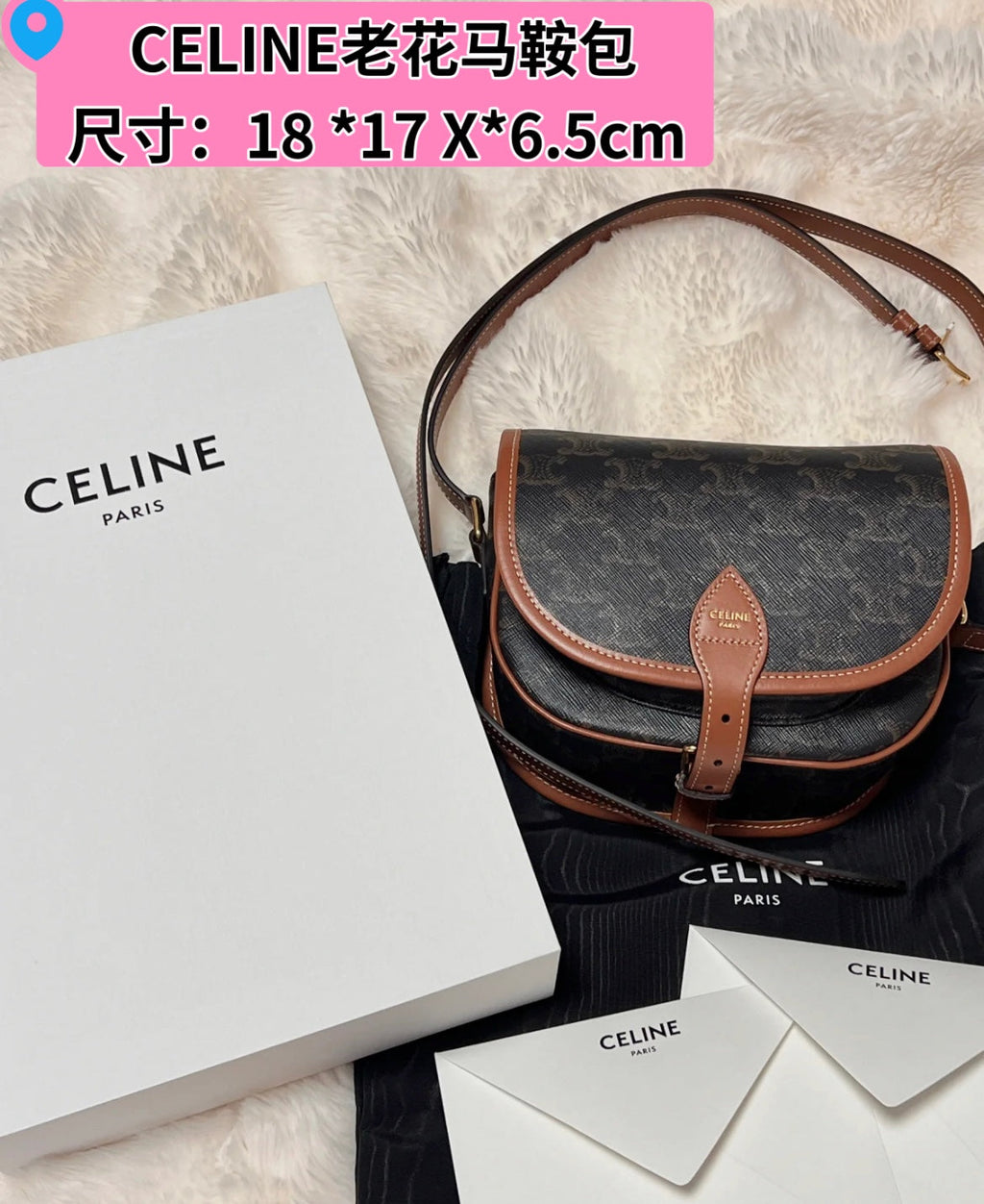 Celine Mini Triomphe Coated Canvas Besace Crossbody Bag